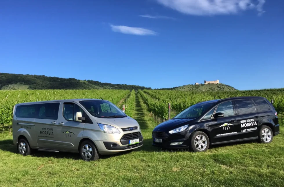 Večerní posezení ve sklípku - Wine Tours Moravia