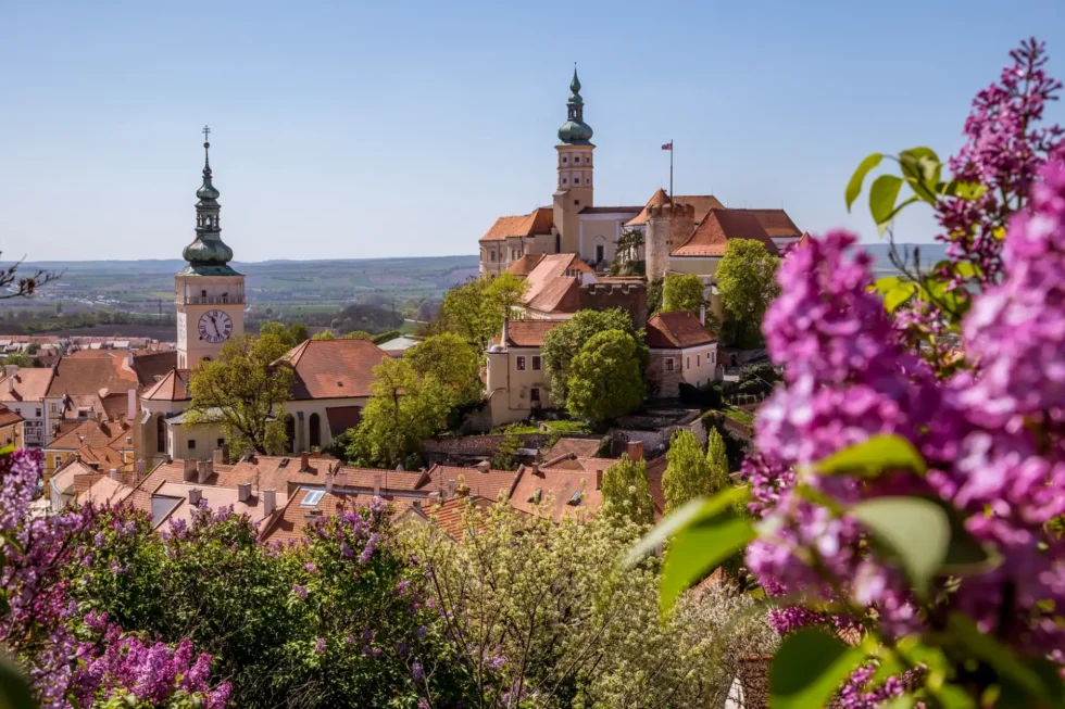 A 2 day taste of Moravia - Wine Tours Moravia