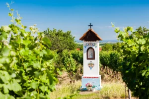 To nejlepší ze Slovácka - Wine Tours Moravia