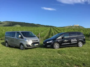 Velký okruh Pálavou - Wine Tours Moravia