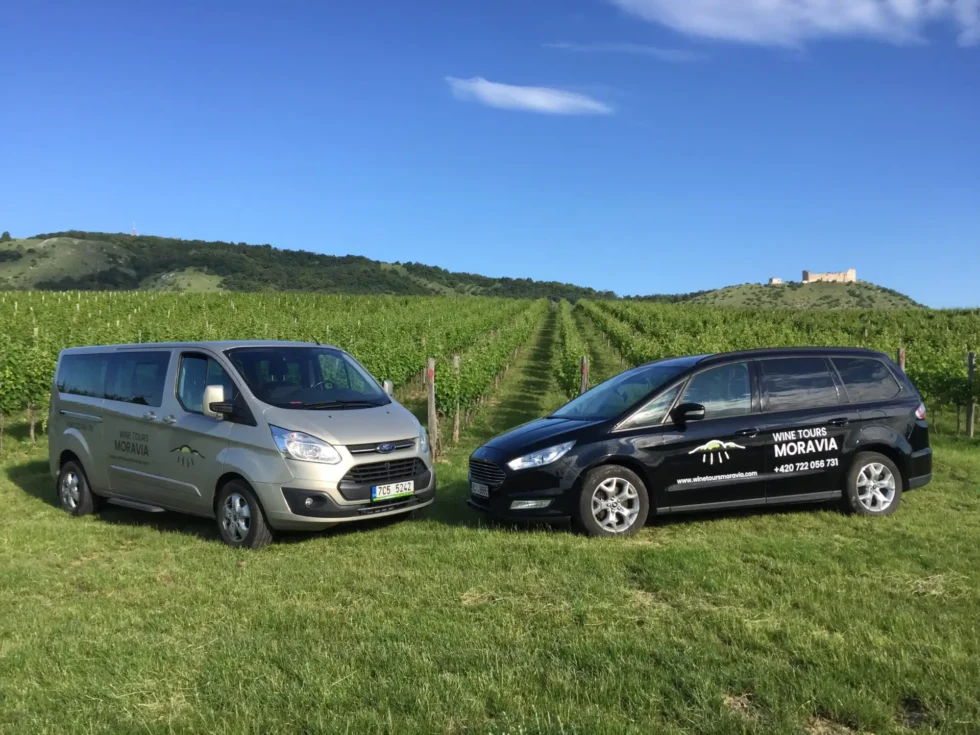 Velký okruh Pálavou - Wine Tours Moravia