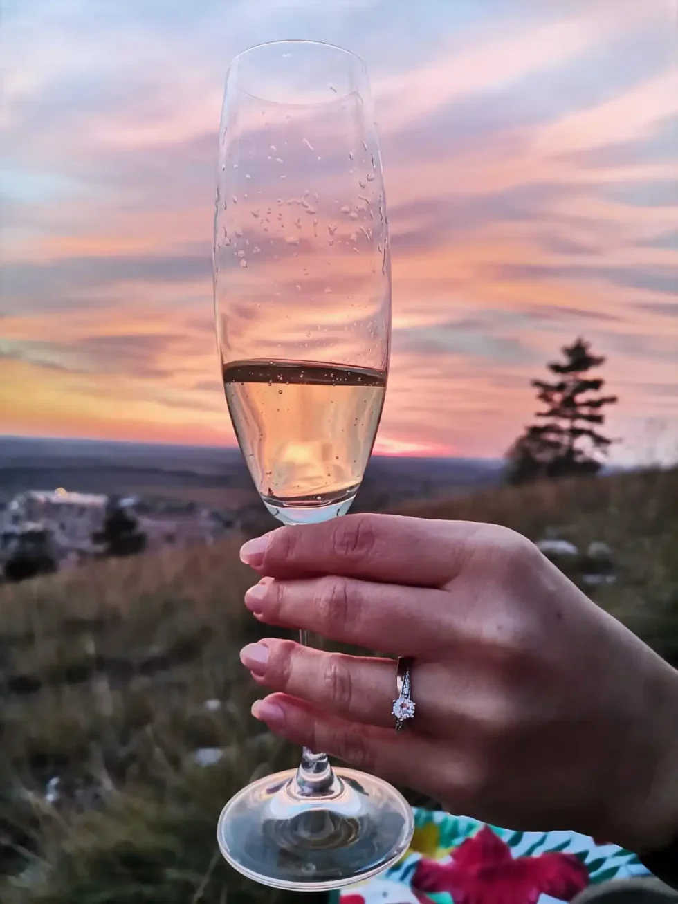 Žádost o ruku - Wine Tours Moravia