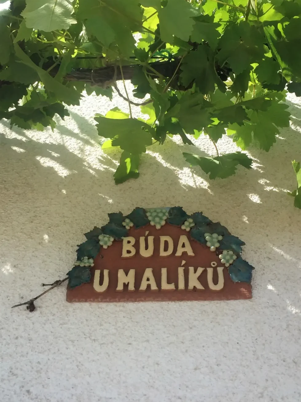 To nejlepší ze Slovácka - Wine Tours Moravia