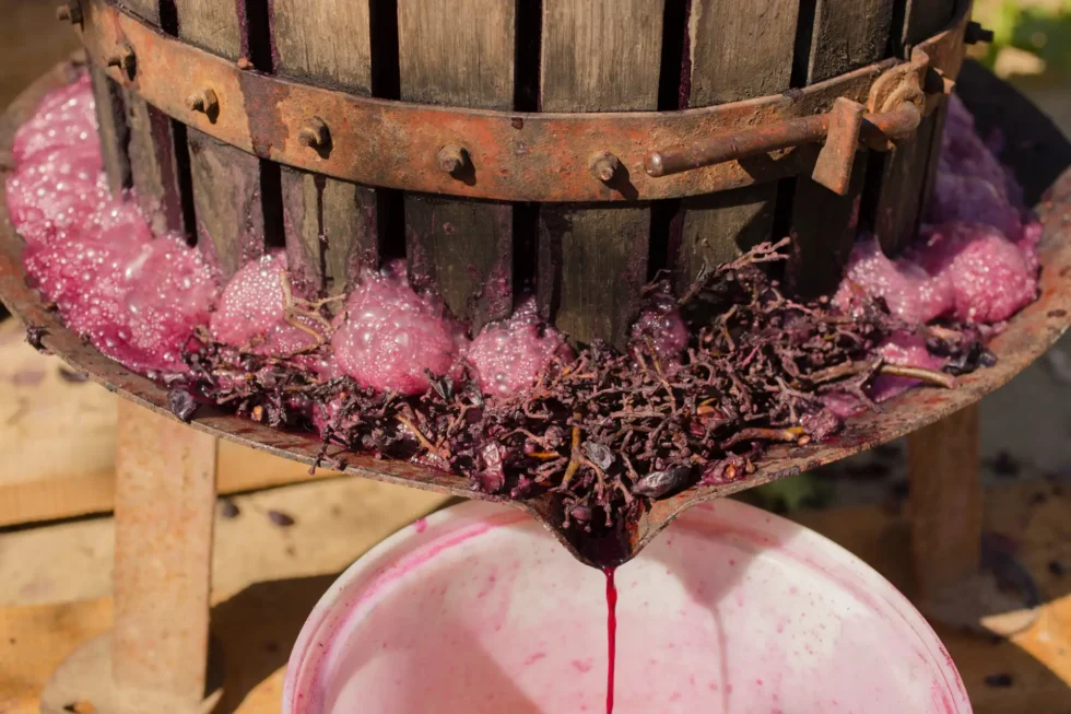 Na den vinařem - Wine Tours Moravia