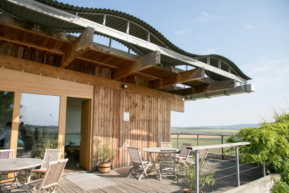 Deluxe wine tour - Wine Tours Moravia