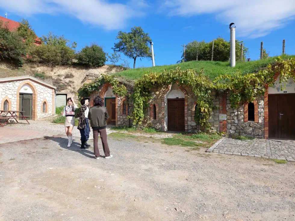 모라비안 투스카니