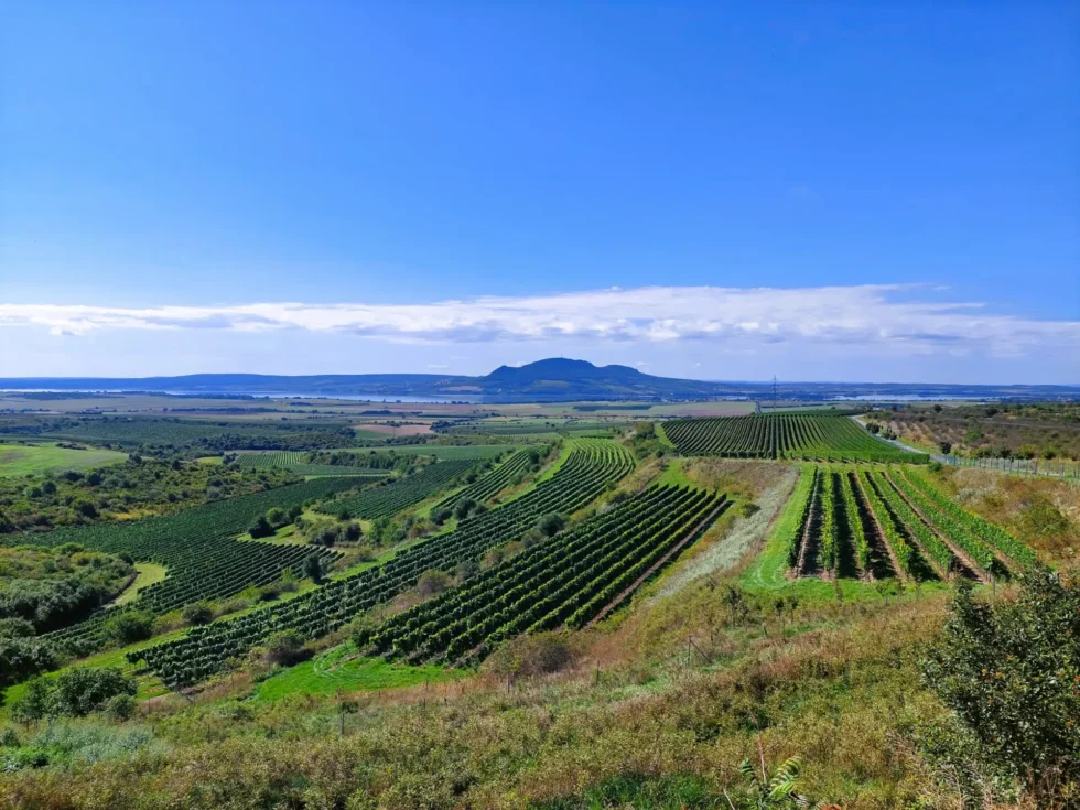 Velký okruh Pálavou - Wine Tours Moravia