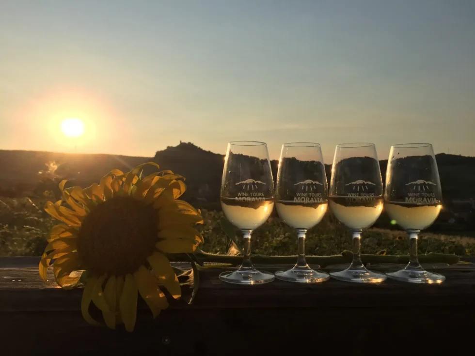 Na skok k sousedům - Wine Tours Moravia