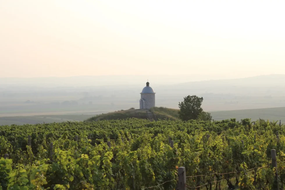 To nejlepší z Velkopavlovicka - Wine Tours Moravia