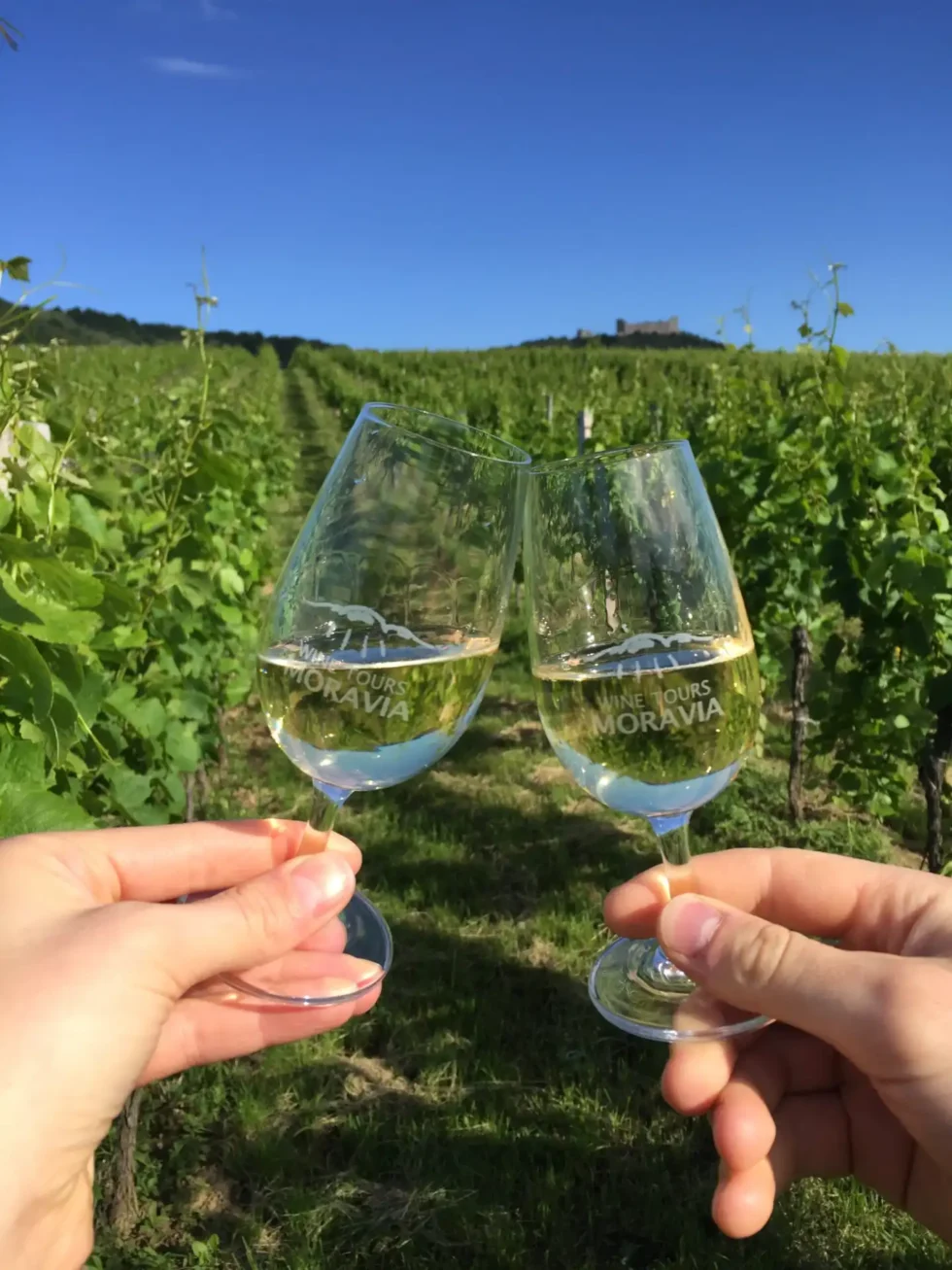 Velký okruh Pálavou - Wine Tours Moravia
