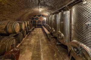 Wine & Jewish heritage - Wine Tours Moravia