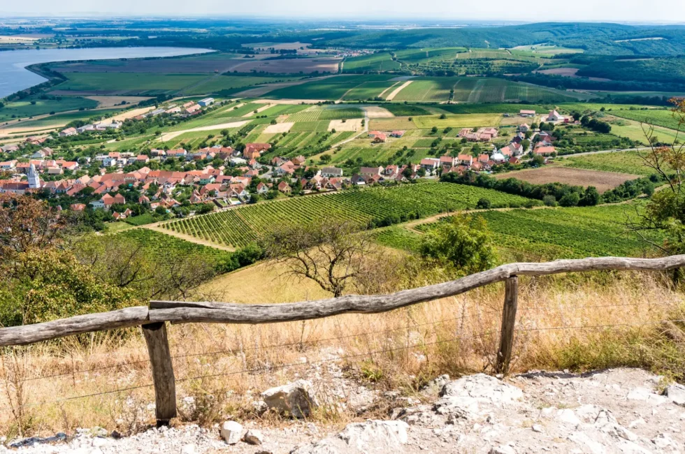 Pálava pro aktivní - Wine Tours Moravia