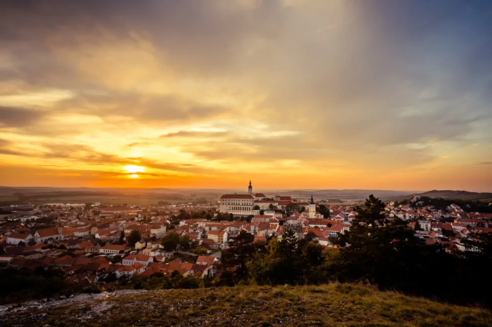 Žádost o ruku - Wine Tours Moravia