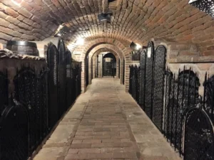 Deluxe wine tour - Wine Tours Moravia