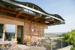 클래식 투어 - 팔라바 + 미쿨로프