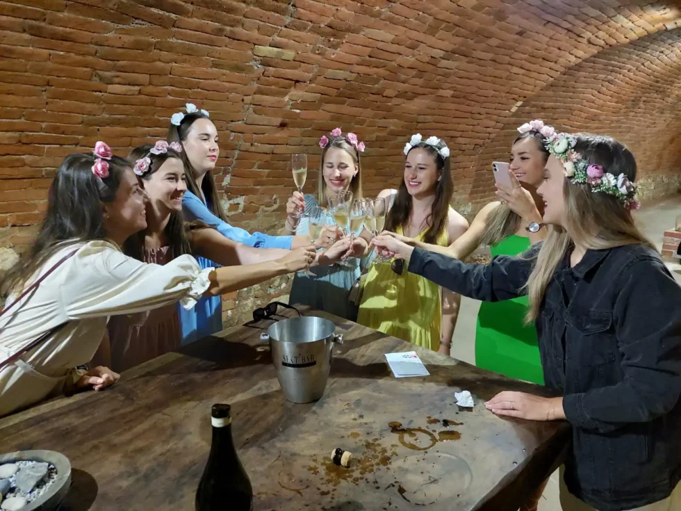 Rozlučky se svobodou - Wine Tours Moravia