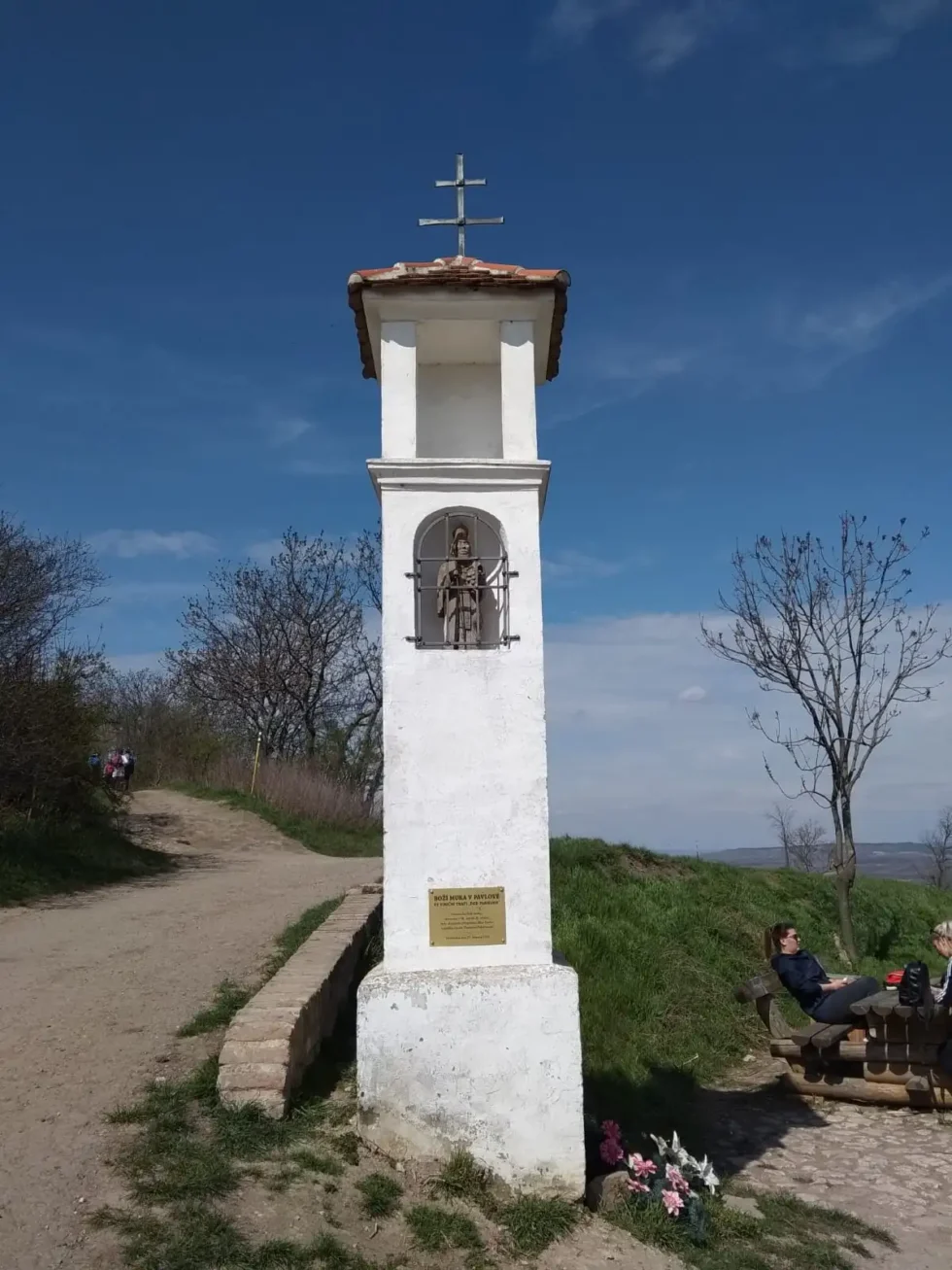 Pálava pro aktivní - Wine Tours Moravia