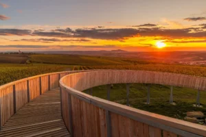 To nejlepší ze Slovácka - Wine Tours Moravia