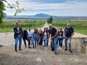 Velký okruh Pálavou - Wine Tours Moravia