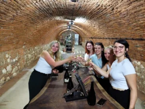 Rozlučky se svobodou - Wine Tours Moravia