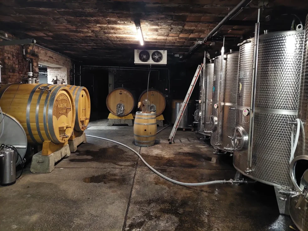 Na skok k sousedům - Wine Tours Moravia