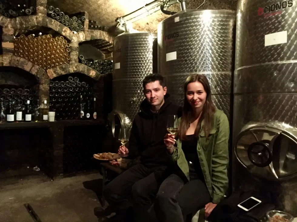 Deluxe wine tour - Wine Tours Moravia