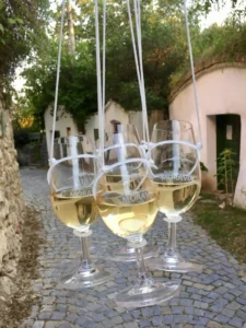 Na skok k sousedům - Wine Tours Moravia