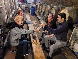 Pohodové odpoledne ve sklípku - Wine Tours Moravia