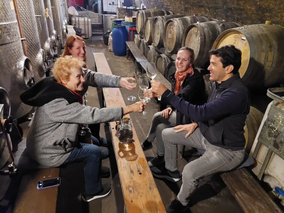 Pohodové odpoledne ve sklípku - Wine Tours Moravia
