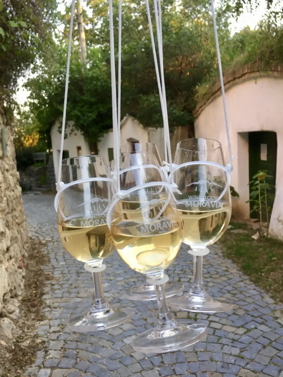 Na skok k sousedům - Wine Tours Moravia