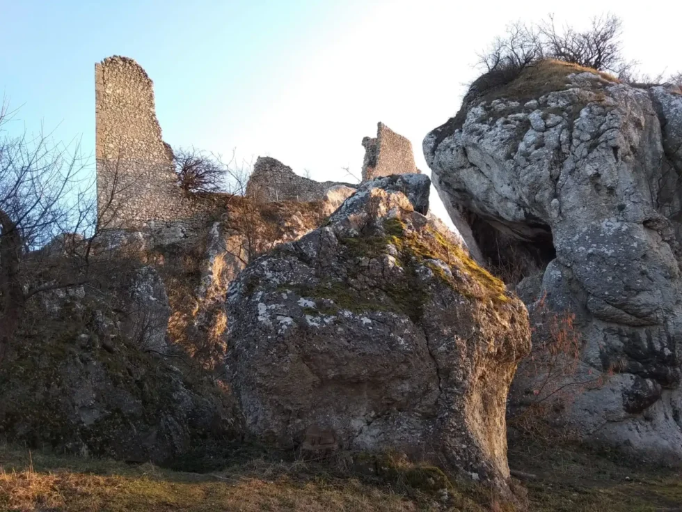 Pálava pro aktivní - Wine Tours Moravia