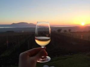 Romantika pro páry - Wine Tours Moravia