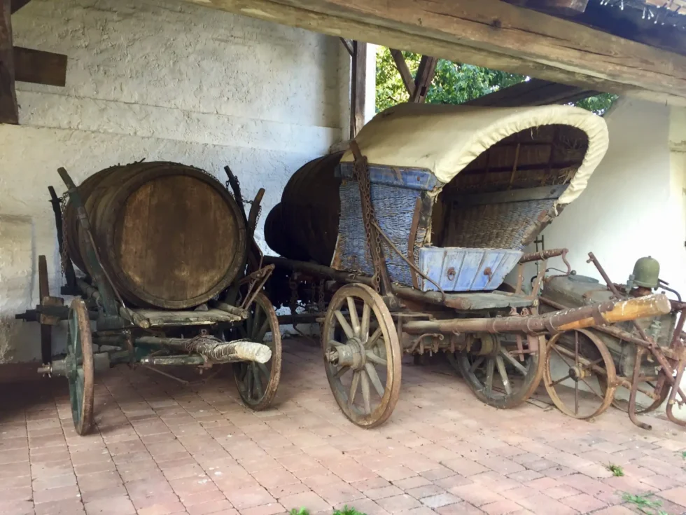 Na skok k sousedům - Wine Tours Moravia