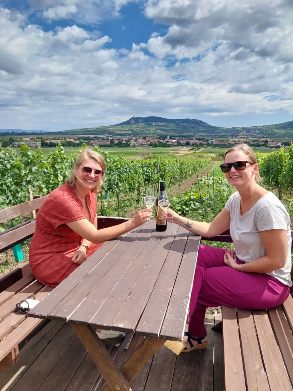 Pohodové odpoledne ve sklípku - Wine Tours Moravia