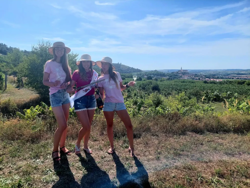 Rozlučky se svobodou - Wine Tours Moravia