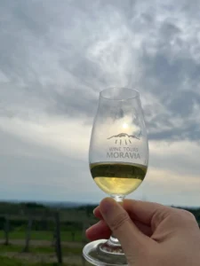 UNESCO Lednicko-valtický areál - Wine Tours Moravia