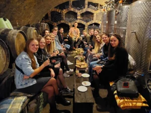 Pohodové odpoledne ve sklípku - Wine Tours Moravia