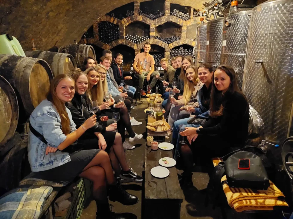 Pohodové odpoledne ve sklípku - Wine Tours Moravia