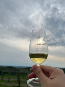 Wine & UNESCO heritage - Wine Tours Moravia
