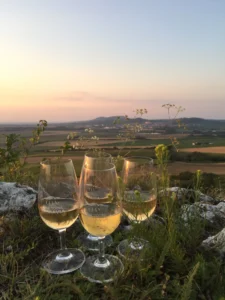 Deluxe wine tour - Wine Tours Moravia