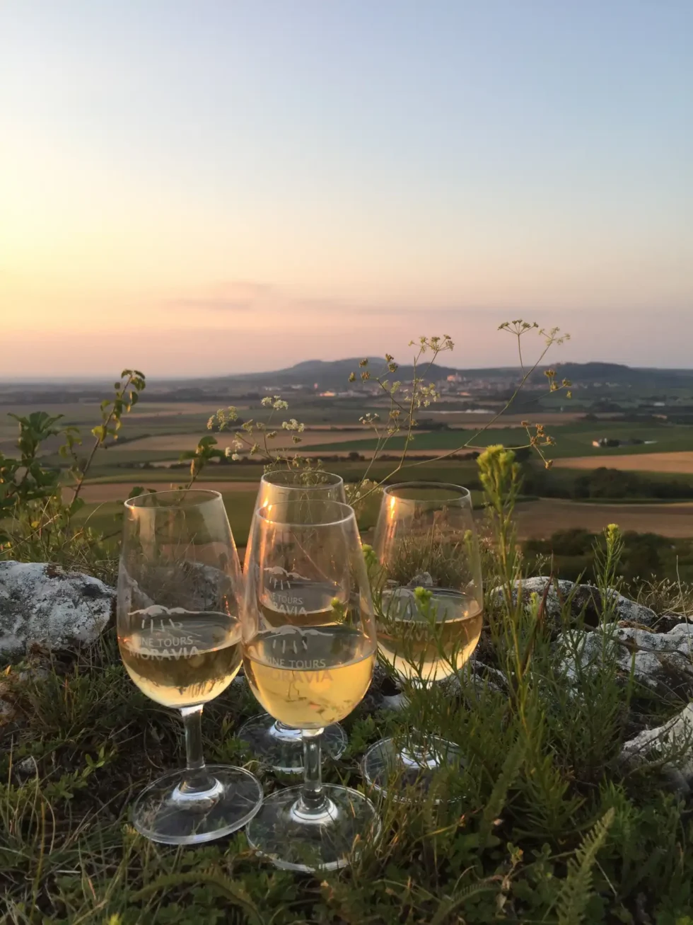Deluxe wine tour - Wine Tours Moravia