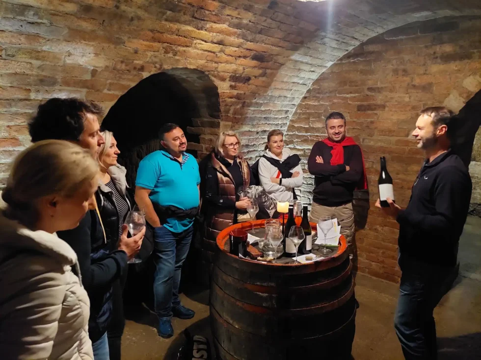 Velký okruh Pálavou - Wine Tours Moravia