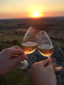 Na skok k sousedům - Wine Tours Moravia