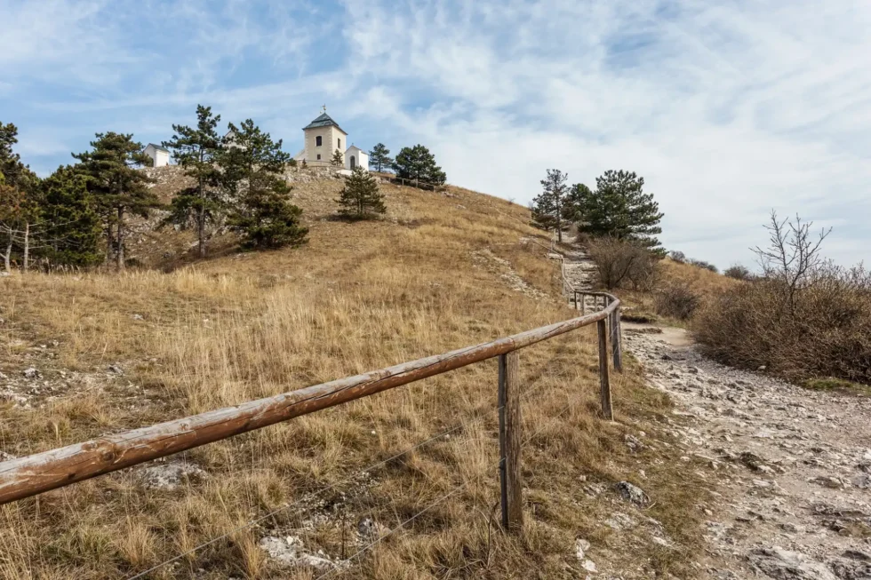 Wine & Hike - Wine Tours Moravia