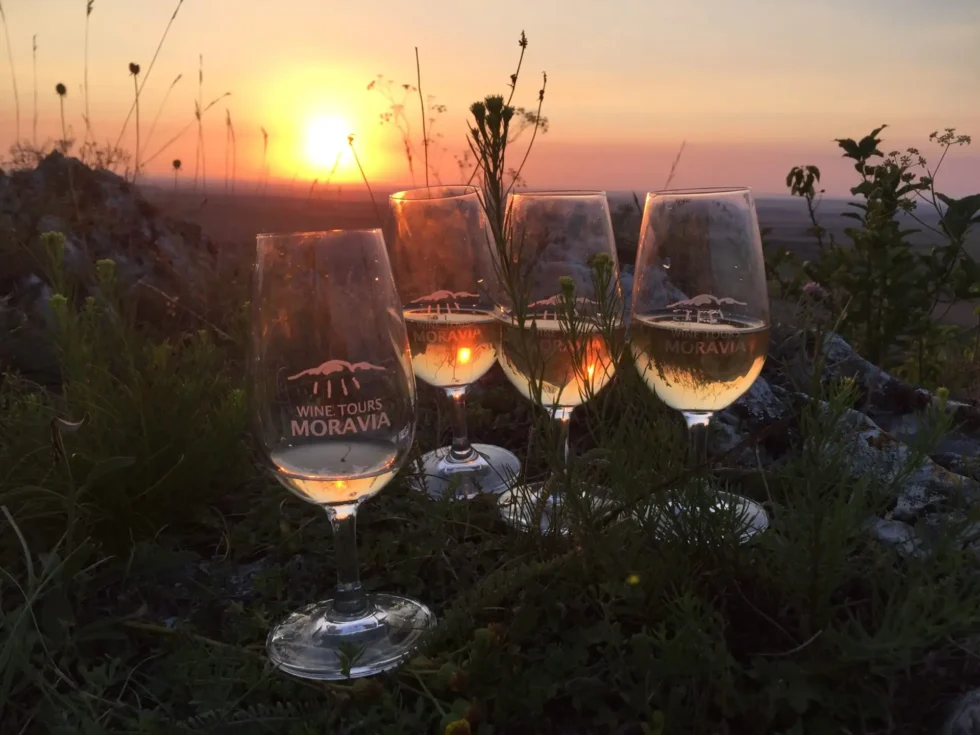 Na skok k sousedům - Wine Tours Moravia