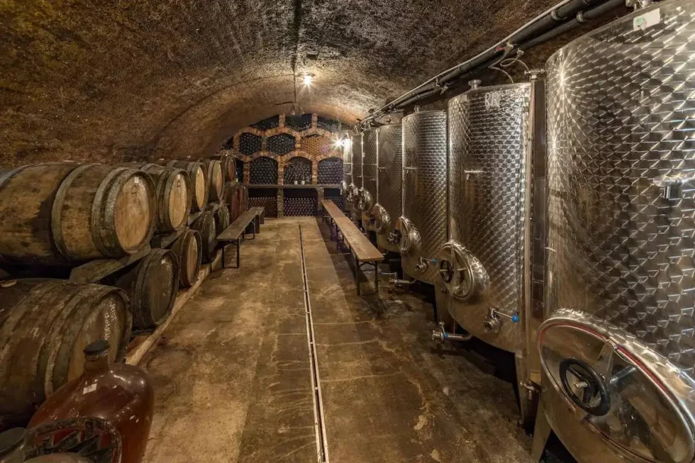 Pálava pro aktivní - Wine Tours Moravia