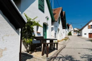 Na skok k sousedům - Wine Tours Moravia