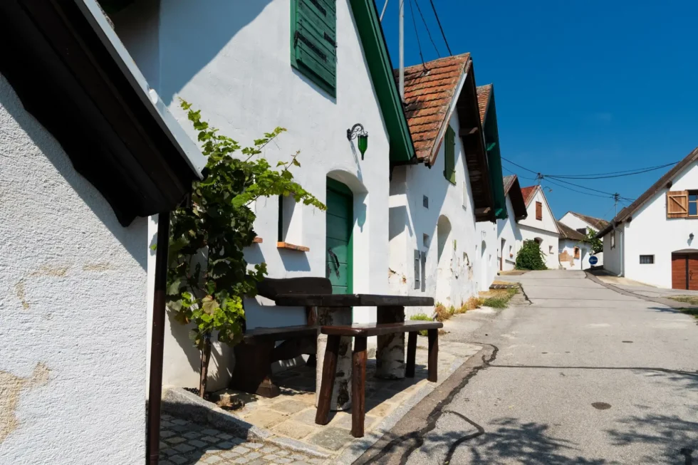 Na skok k sousedům - Wine Tours Moravia