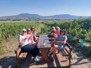 The best of Moravia in one day - Wine Tours Moravia