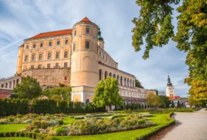 Wine & Jewish heritage - Wine Tours Moravia